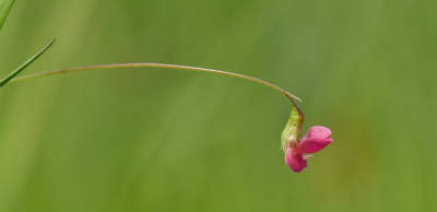 DSC_6370_edited.jpg