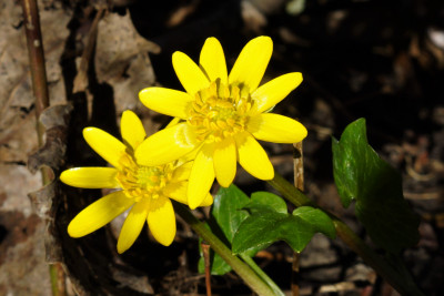 DSC03506.JPG