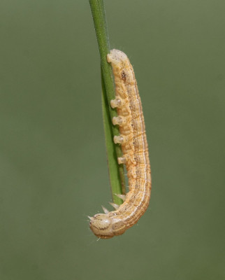 ADH_6230.jpg