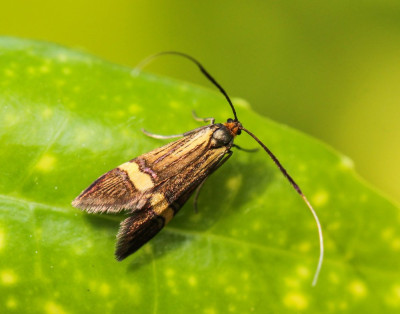ADH_6576.jpg