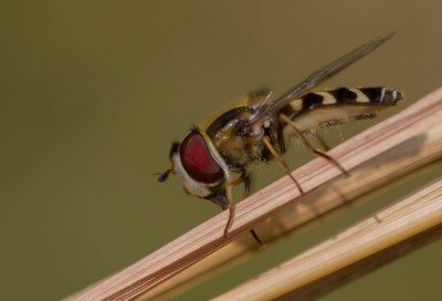 ADH_0634.jpg