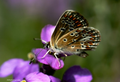 DSC03101.jpg