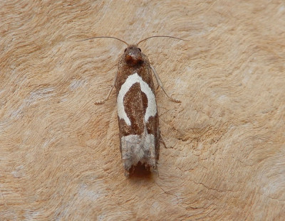 DSCN6558.JPG