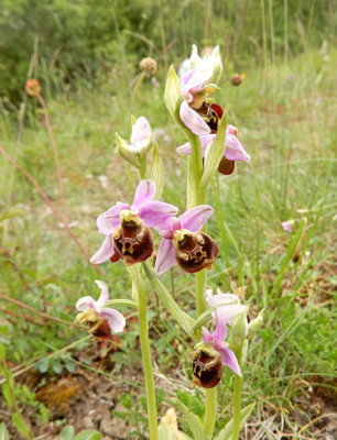 DSCN9621.JPG