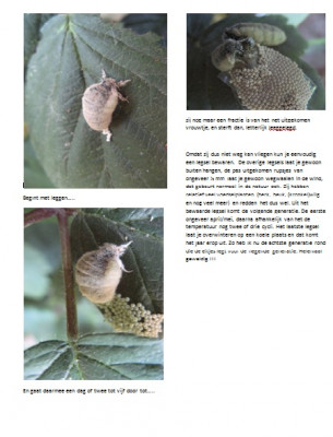 En wat nou zo leuk is 3.jpg