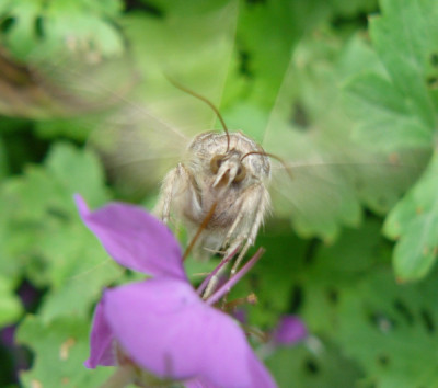 IMG_2401.jpeg