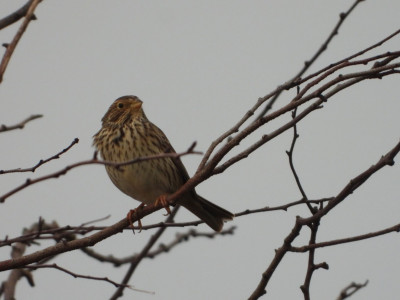DSCN3331.JPG