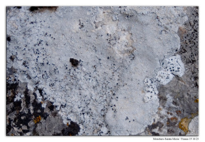 Plat dambordje 231015-2 kopie.jpg