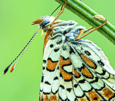 _H7Z7055-2.jpg
