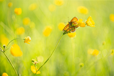 _H7Z7142-5.jpg
