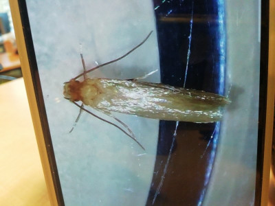 250881885_1.jpg