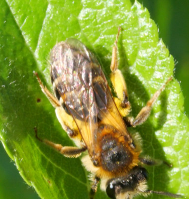 P1002139kopie.JPG