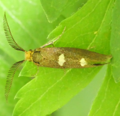 P1002600kopie.JPG