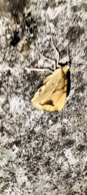 IMG20240607225804.jpg