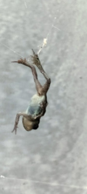 IMG20240614114718.jpg