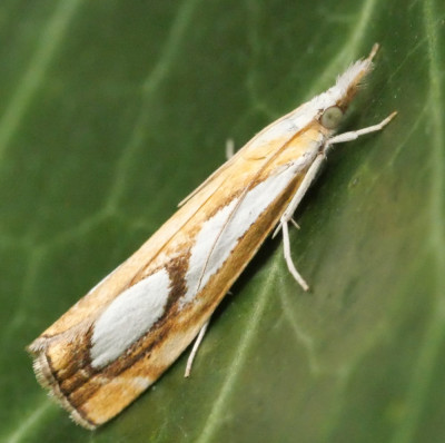 P1019413kopie.JPG