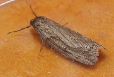 P1019468kopie.JPG