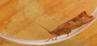 P1019490kopie.JPG