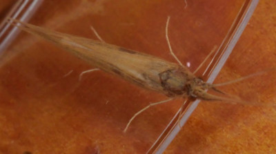 P1019633kopie.JPG