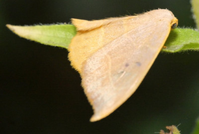 P1022186kopie.JPG