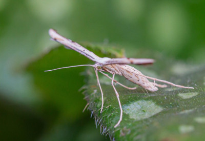 ALB_9181.jpg