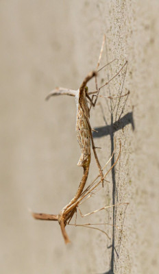 ALB_9140.jpg
