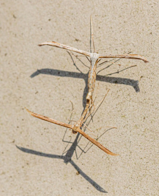 ALB_9153.jpg