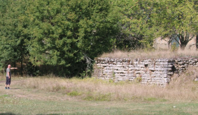 IMG_2764-2b Habitat MegaGrote Geelgroene Toornslang.jpg