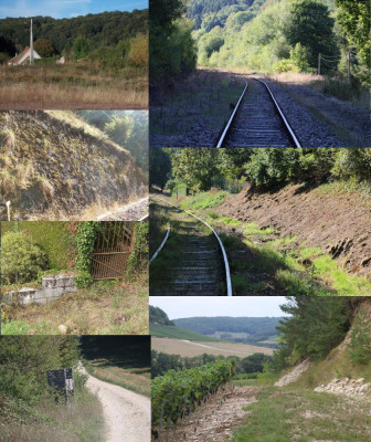Geelgroene toornslang habitats.jpg