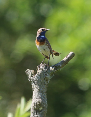 Canon EOS 70D 1369x1769_203124.jpg