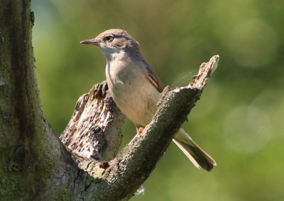Canon EOS 70D 1381x981_203126.jpg