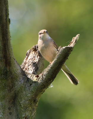 Canon EOS 70D 1147x1459_203127.jpg