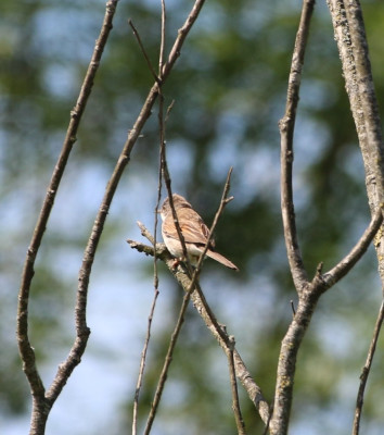 Canon EOS 70D 1249x1413_203137.jpg