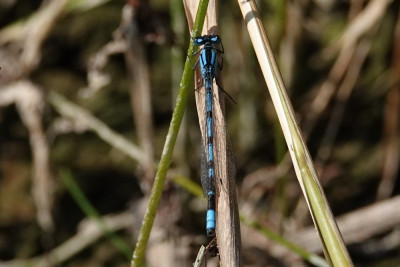 DSC05032 C.JPG
