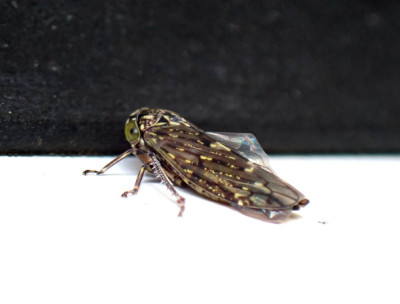 PB040640.JPG