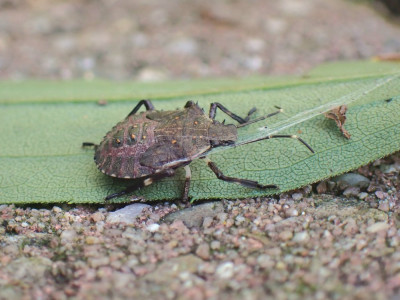 PA150474.JPG
