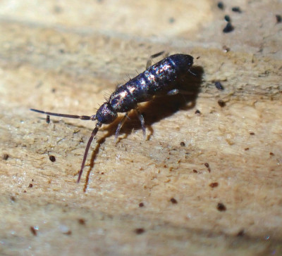 PB110764.JPG