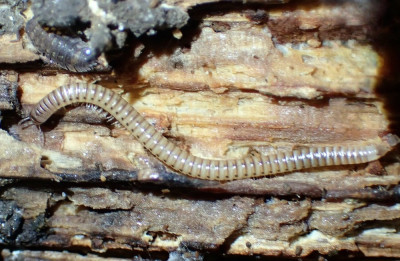 PB110727.JPG