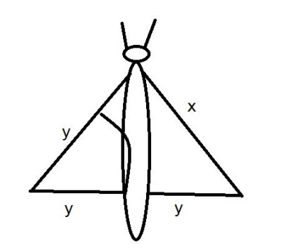 vlind x en y.jpg