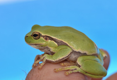 DSC_9739.JPG