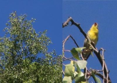 159595196_1.jpg