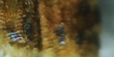 Screenshot_20250106_210043_Photo Editor.jpg