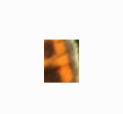 Screenshot_20250113_001614_Gallery.jpg