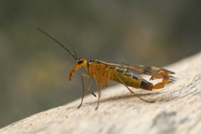 DSC_6971_edited.jpg