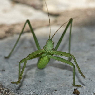 DSC_7492.JPG