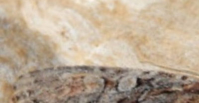 Screenshot_20250220_173850_Gallery.jpg