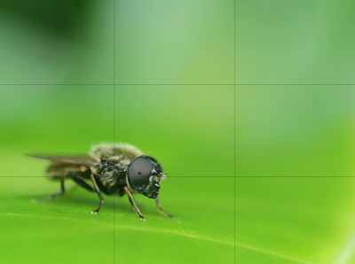 Screenshot_20250326_225316_Photo Editor.jpg
