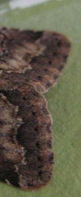 file 3072x2304_258333-2.jpg