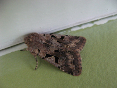 file 3072x2304_258333.jpg