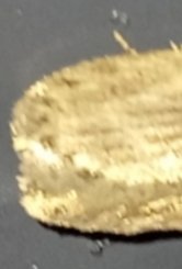 IMG_20250427_225630.jpg